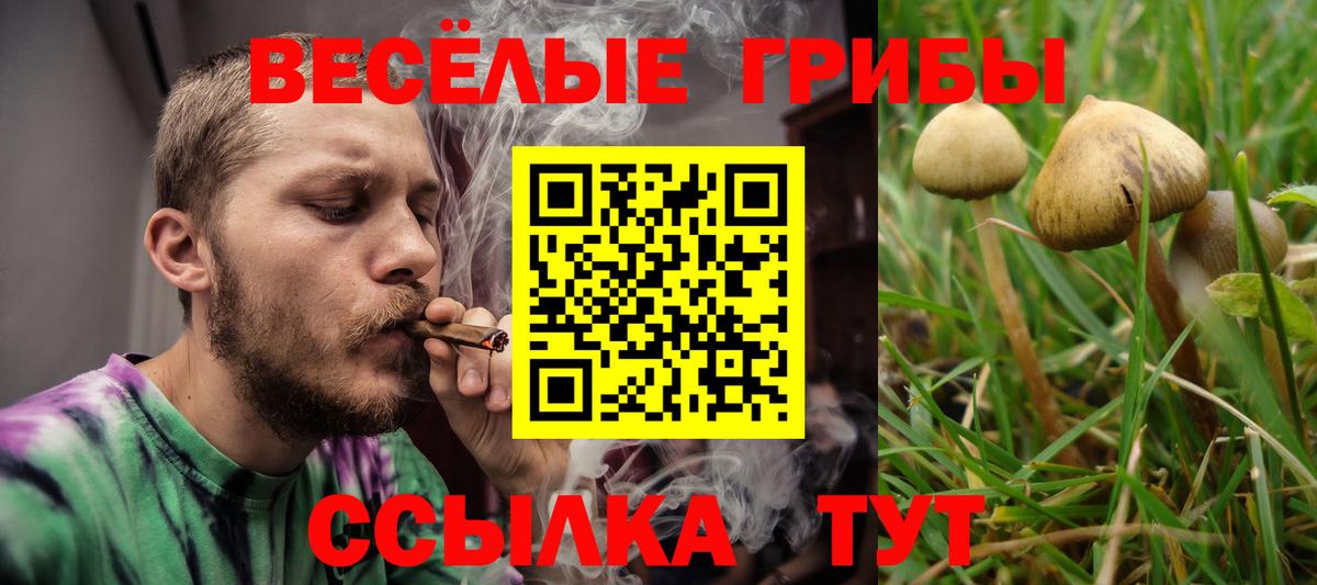 Галлюциногенные грибы мухоморы  Псилоцибиновые грибы мицелий  Новоуральск  Вход с VPN 