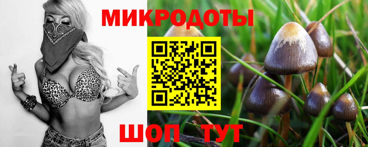 Галлюциногенные грибы мицелий Новоуральск
